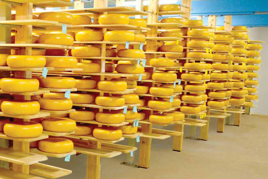 Résines sur sol pour laiteries & fromageries en Bretagne